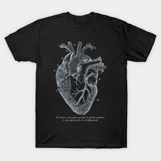 Parts of Heart' Cardiology Parts of the Heart T-Shirt by ourwackyhome